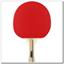 82003 Yashima table tennis racket