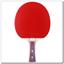 table tennis racket