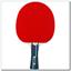 table tennis racket