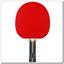 table tennis racket