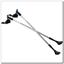 NW602 Nils Extreme Nordic Walking poles