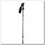 NW802 Nils Extreme Nordic Walking poles