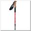 TK616 Nils Extreme Trekking poles