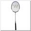 ALUMTEC 307 Wish badminton racket